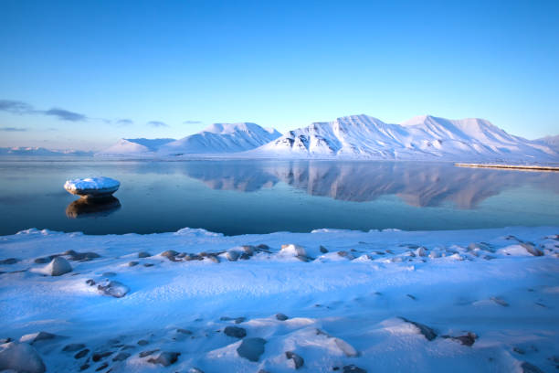 Arctic